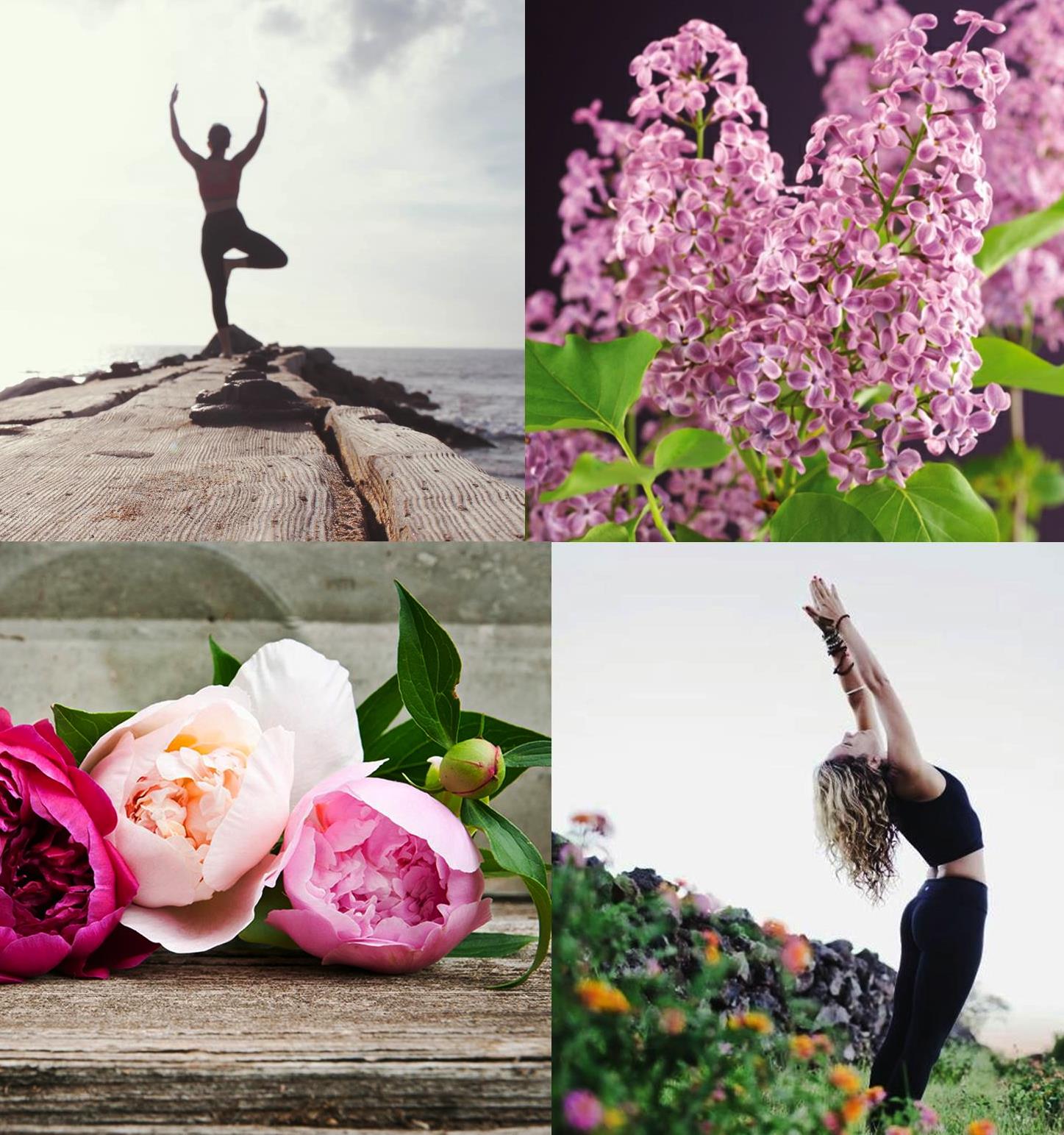 Sommaryoga 2018